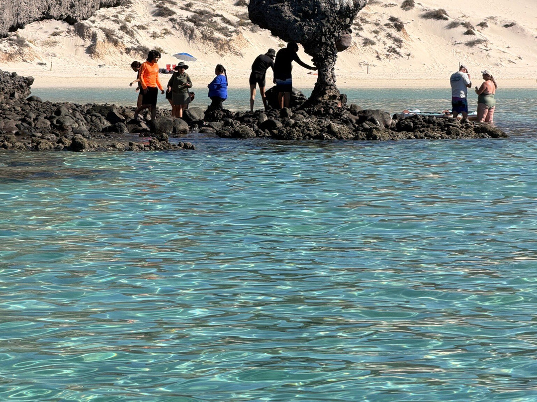 The Cortez Club-拉巴斯必去景点