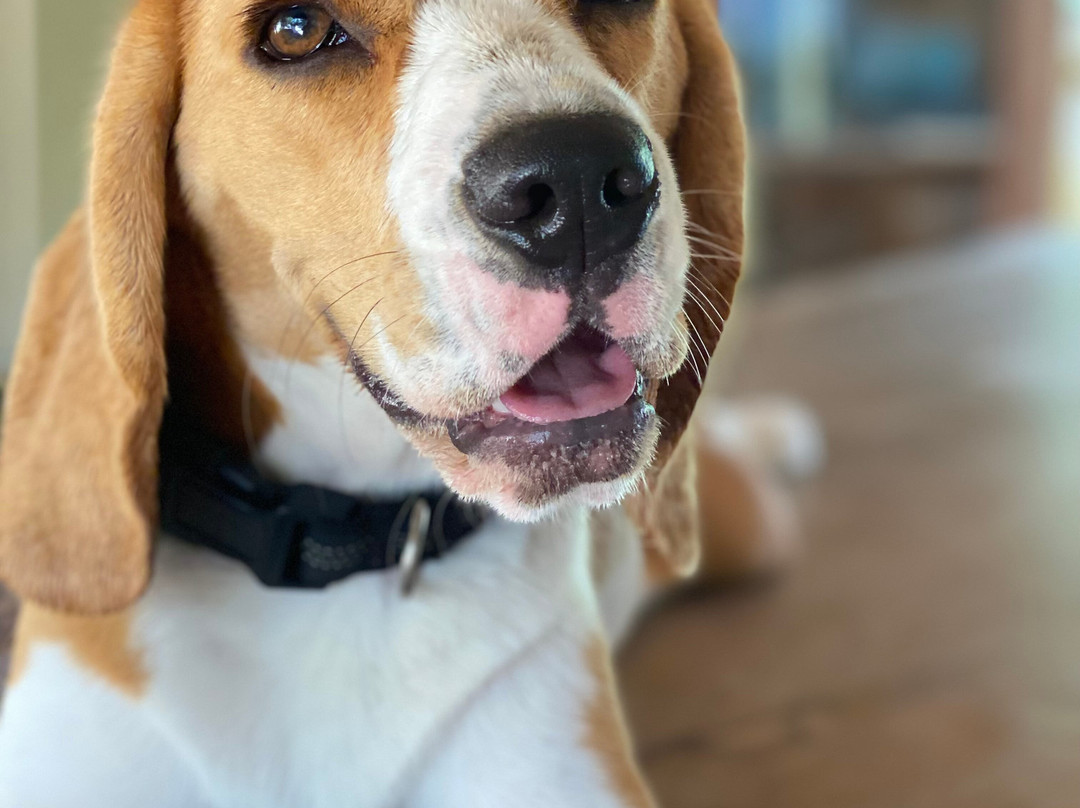 阿鲁巴巴拉特拉公园酒店主图