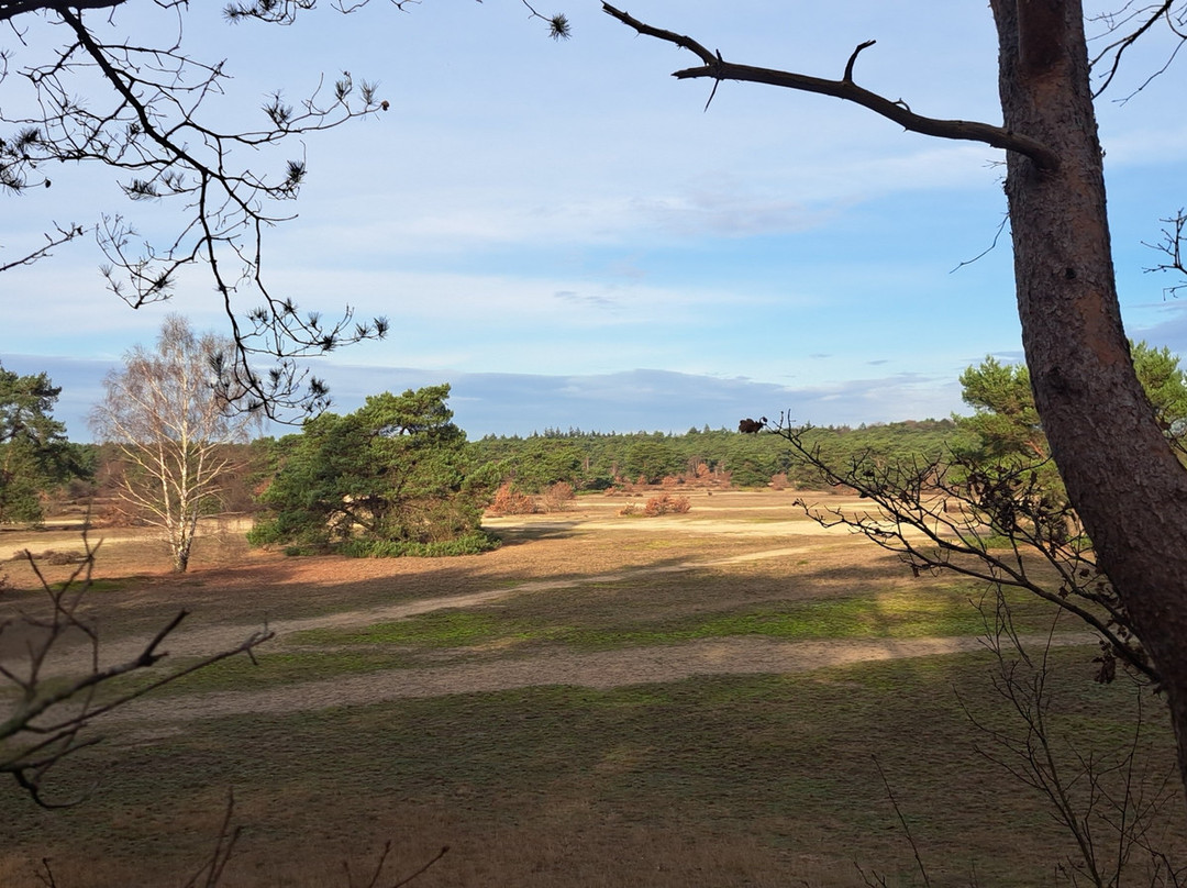 斯特仁堡精品酒店主图