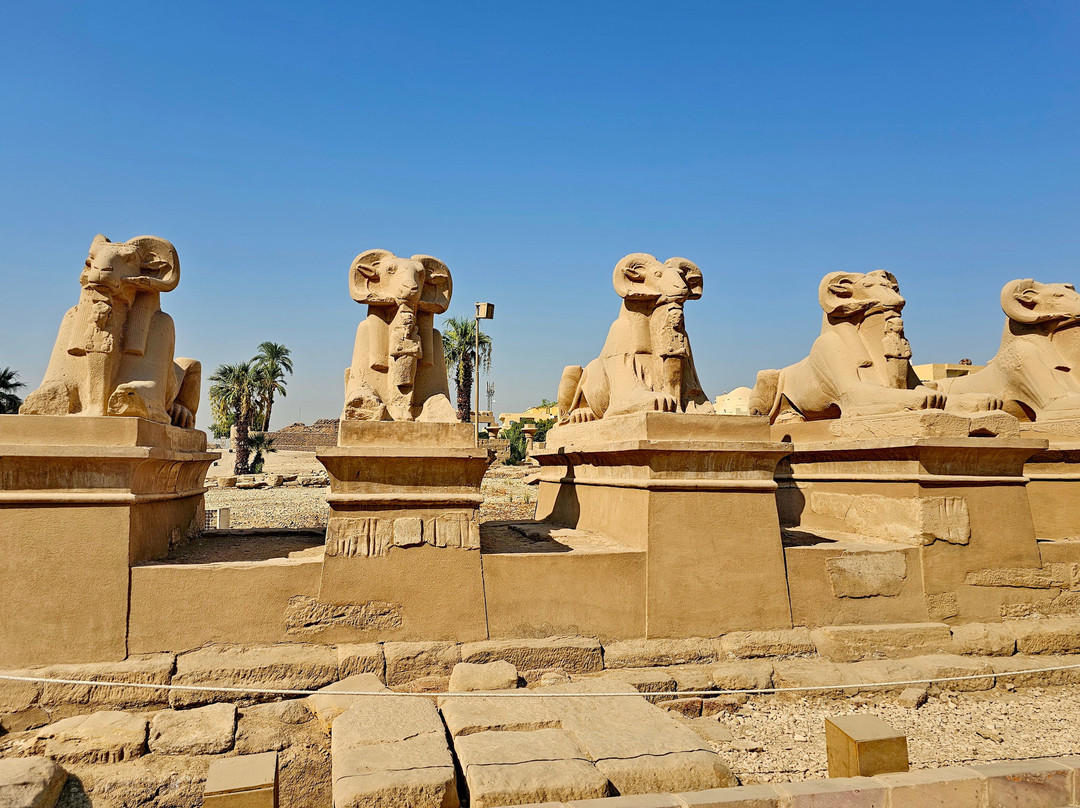 Avenue of Sphinxes-卢克索必去景点