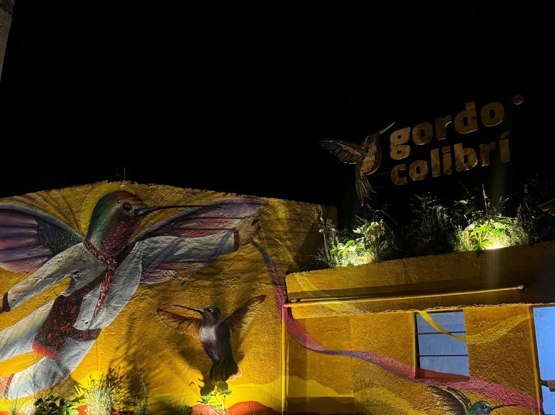 Gordo Colibrí Valle de Bravo