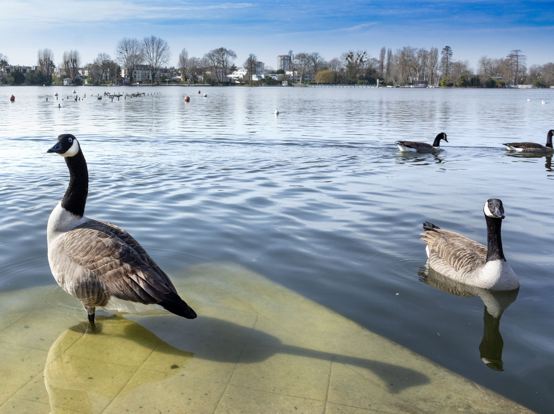 LAC D'ENGHIEN-LES-BAINS-昂吉安莱班必去景点