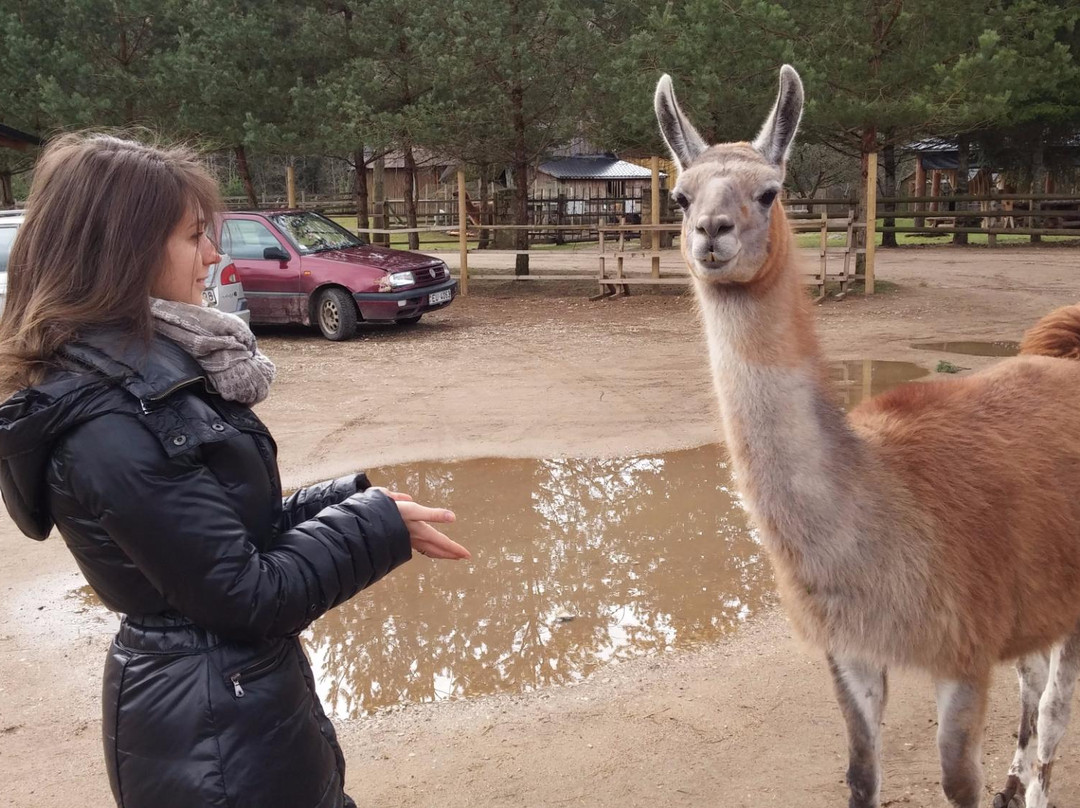 Recreation Complex Raksi-Amatas Novads必去景点