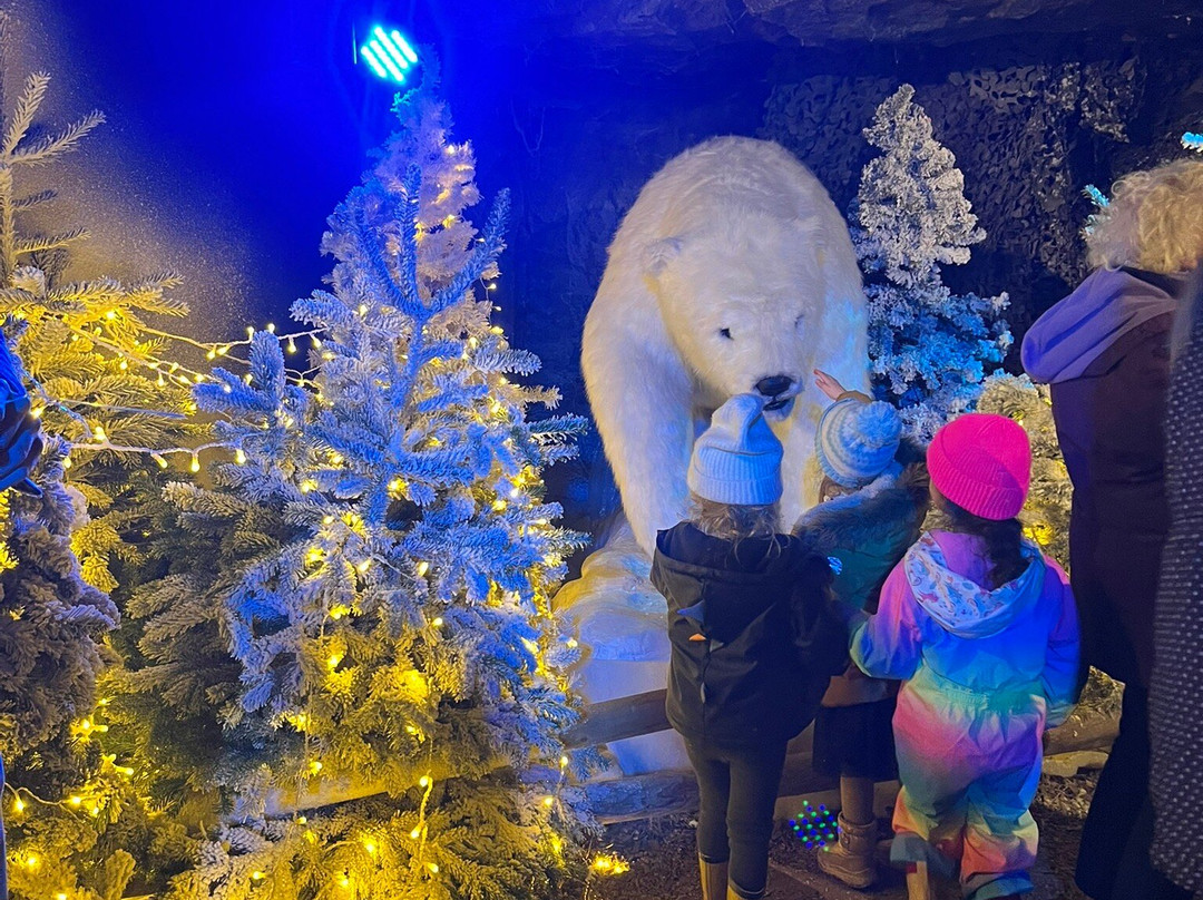 Avon Valley Adventure Park-Keynsham必去景点