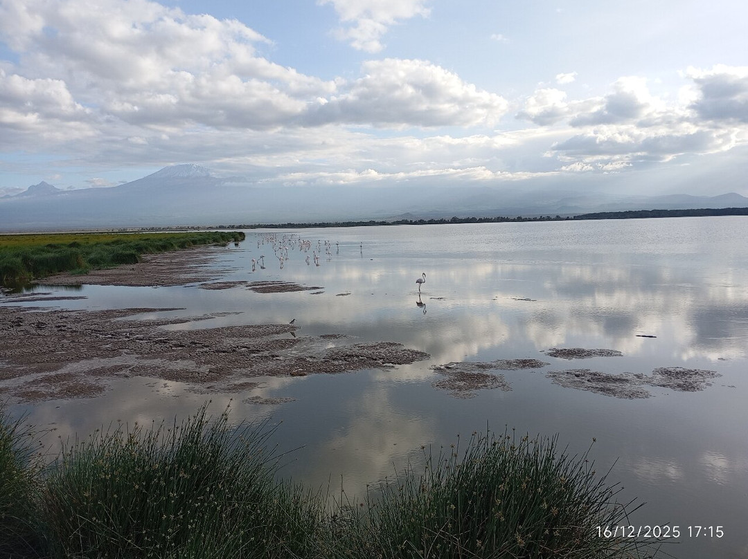 Amboseli National Park-Amboseli Eco-system必去景点