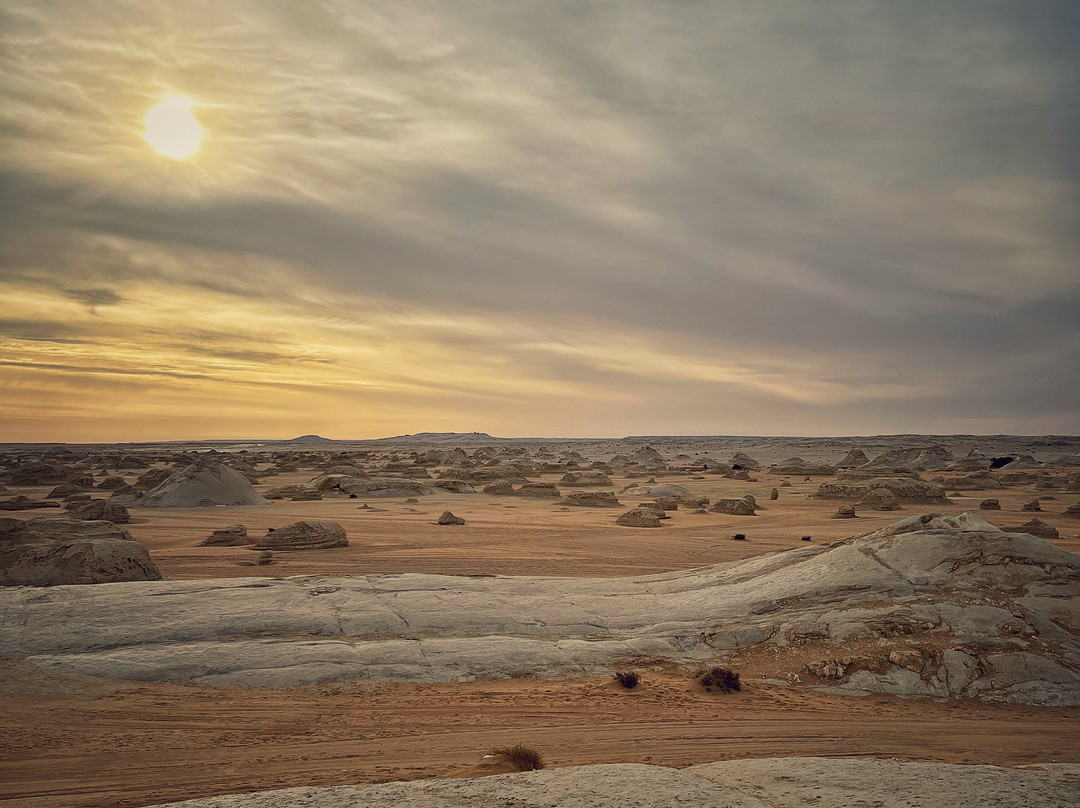 tamer safari-开罗必去景点