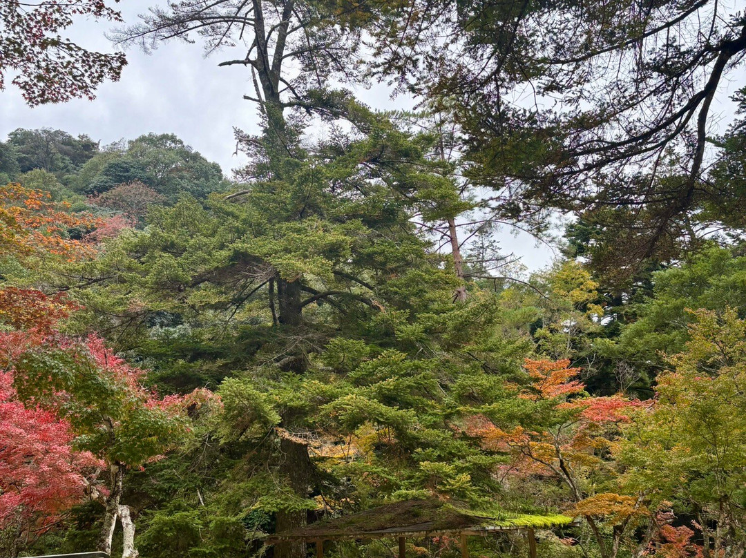 Miyajima Sambashimae Park-Itsukushima必去景点