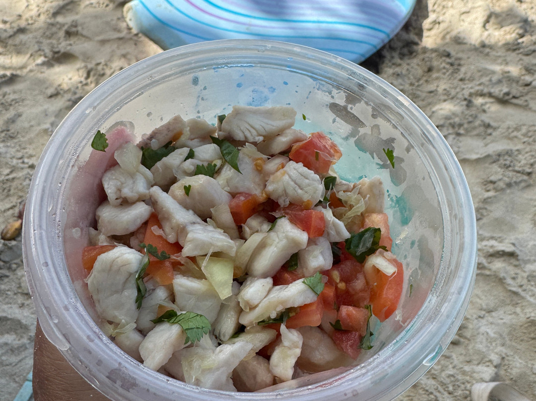 Capt. Alvin Fishing Charters-圣 托马斯必去景点