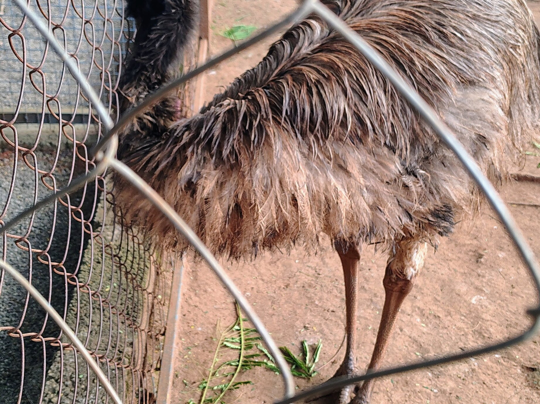 Cloud Forest Entertainment Park-Yelagiri必去景点