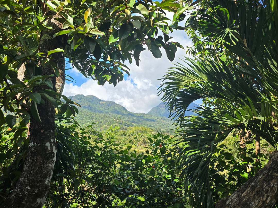 Coffee Mountain Inn主图