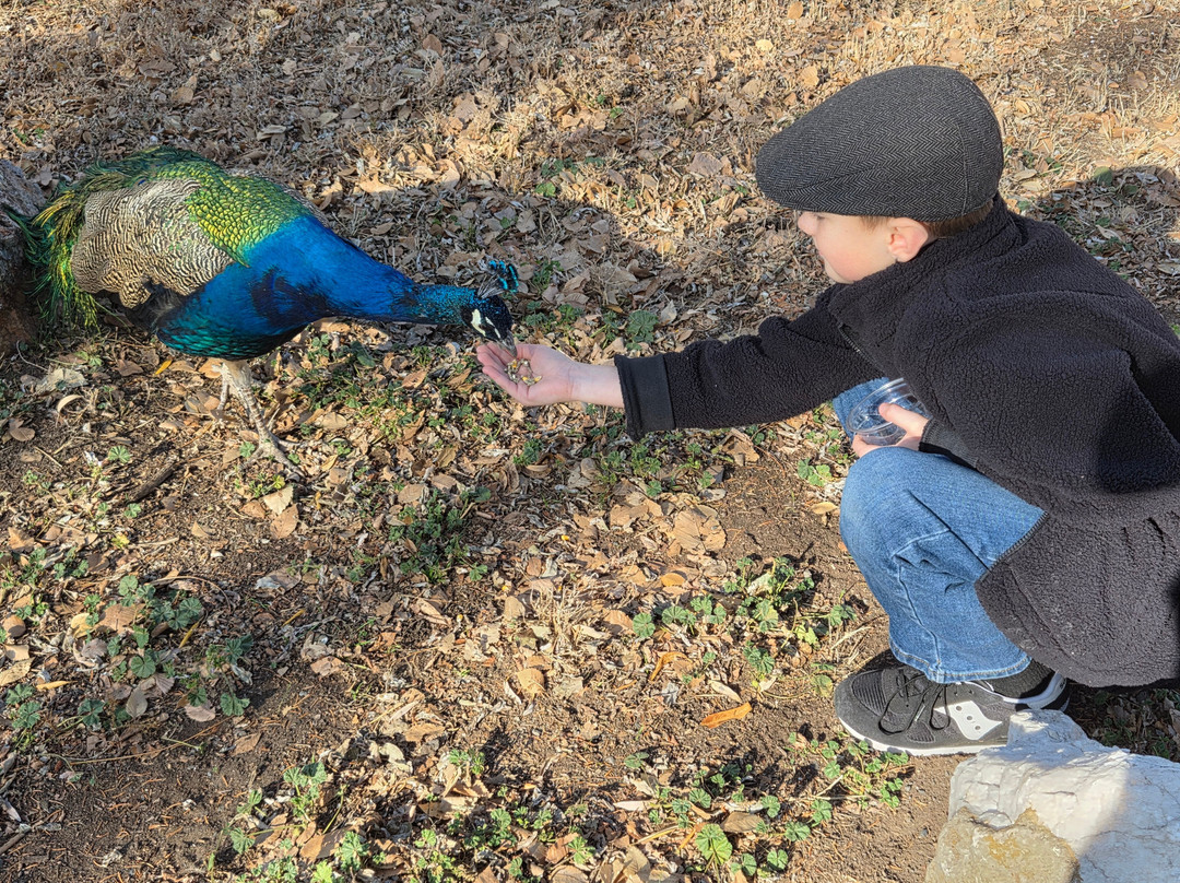 Petersen Rock Garden and Museum-雷德蒙德必去景点