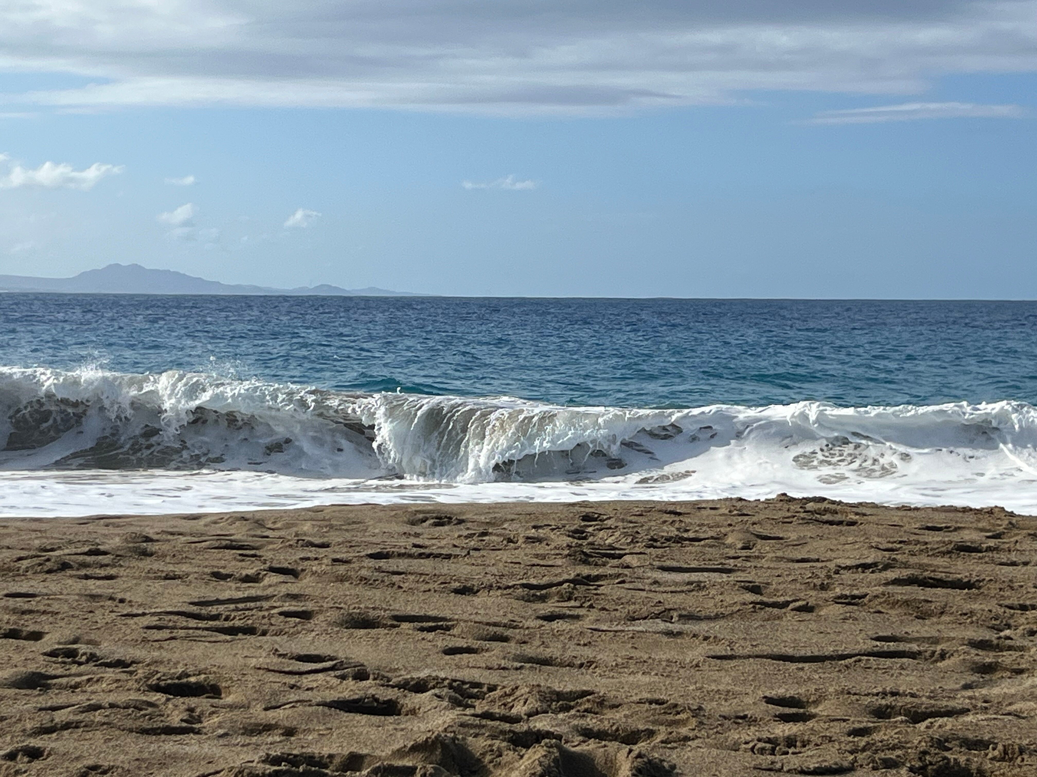 Casa Marina Beach & Reef-官方