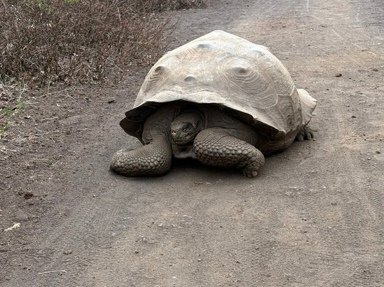 The Wall of Tears-维里亚米尔港必去景点