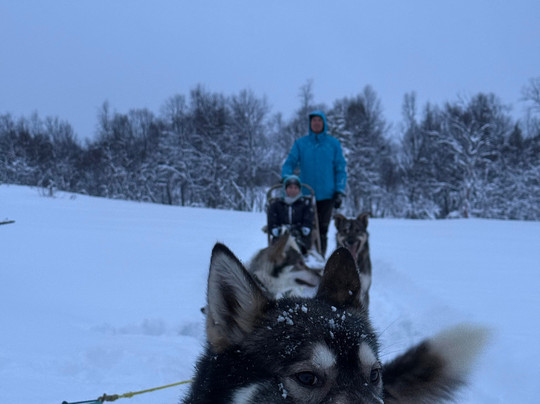 Into Nature-Meistervik必去景点