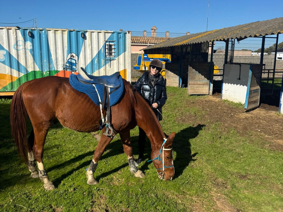 Al-Mesquid Stables-Sanlucar de Barrameda必去景点