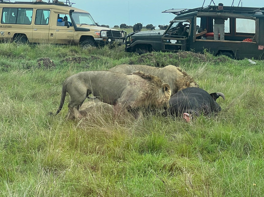 Belair Adventures And Safaris Limited-内罗毕必去景点