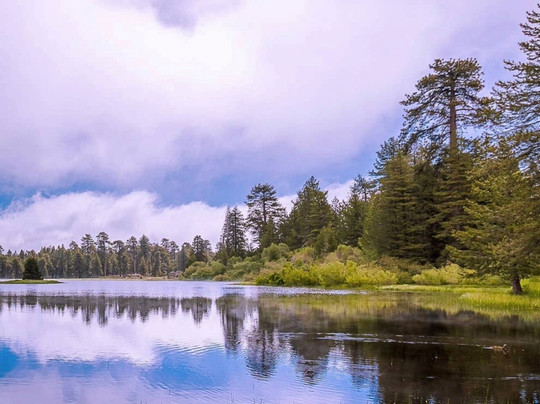 Bluff Lake Reserve-大熊湖必去景点