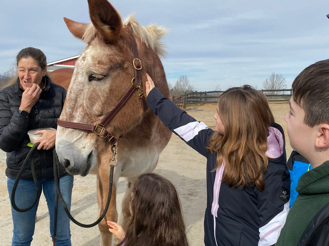 The Sanctuary At Red Bell Run-哥伦布必去景点