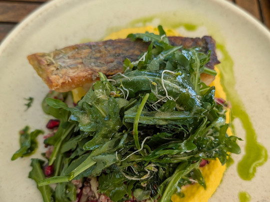 悉尼湾国家公园-莫斯曼必去景点