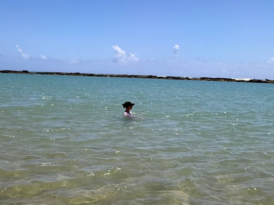 Bonita Beach-Barra de Sao Miguel必去景点