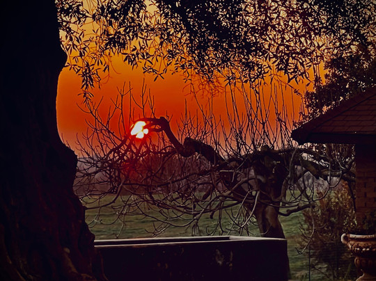 Agriturismo Poggio dei Cavalieri主图