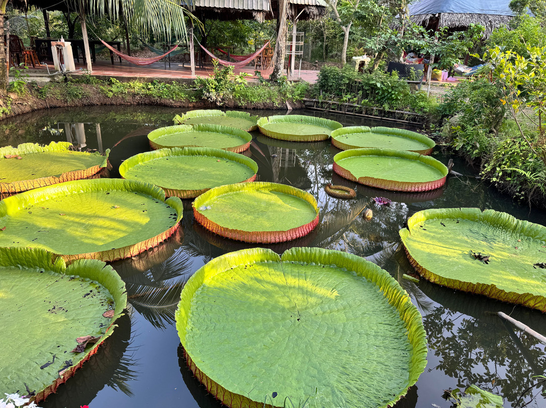 CHN Explore Mekong Delta-芹苴必去景点