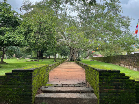 Lanka Travel Plan - Day Tours-康提必去景点