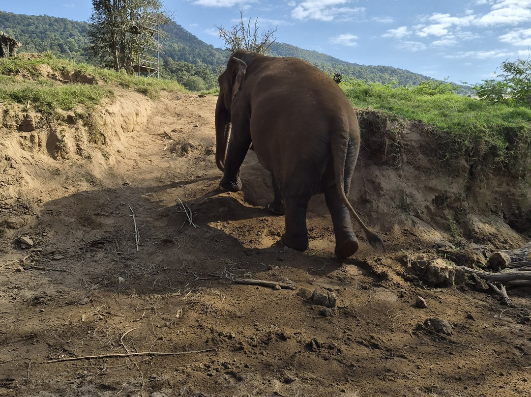 New Elephant Home-Kuet Chang必去景点