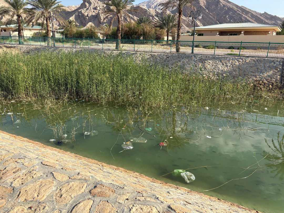 穆巴札拉公园-艾因市必去景点