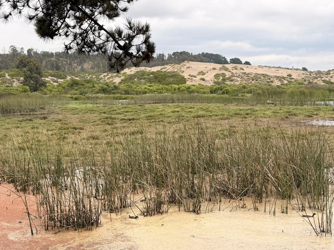 Posada del Parque-Quintero必去景点