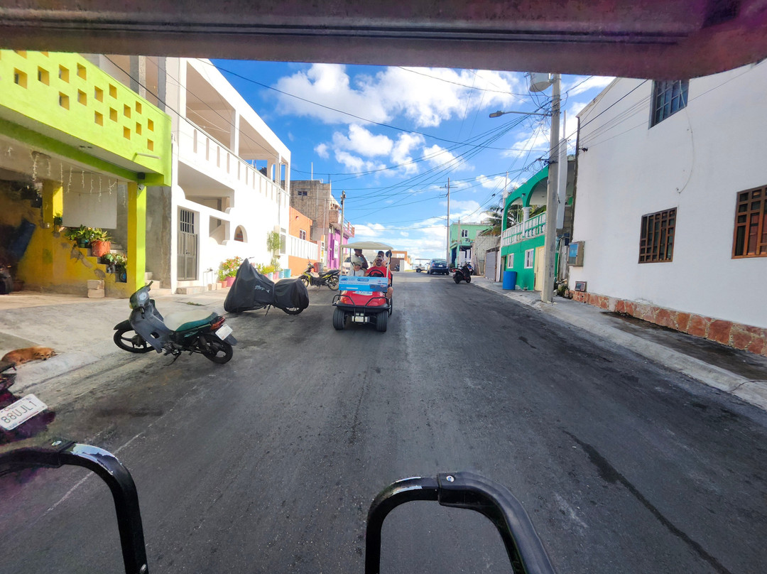 Agence D'excursion en Français Electric Bike Rental-普拉亚德尔卡曼必去景点