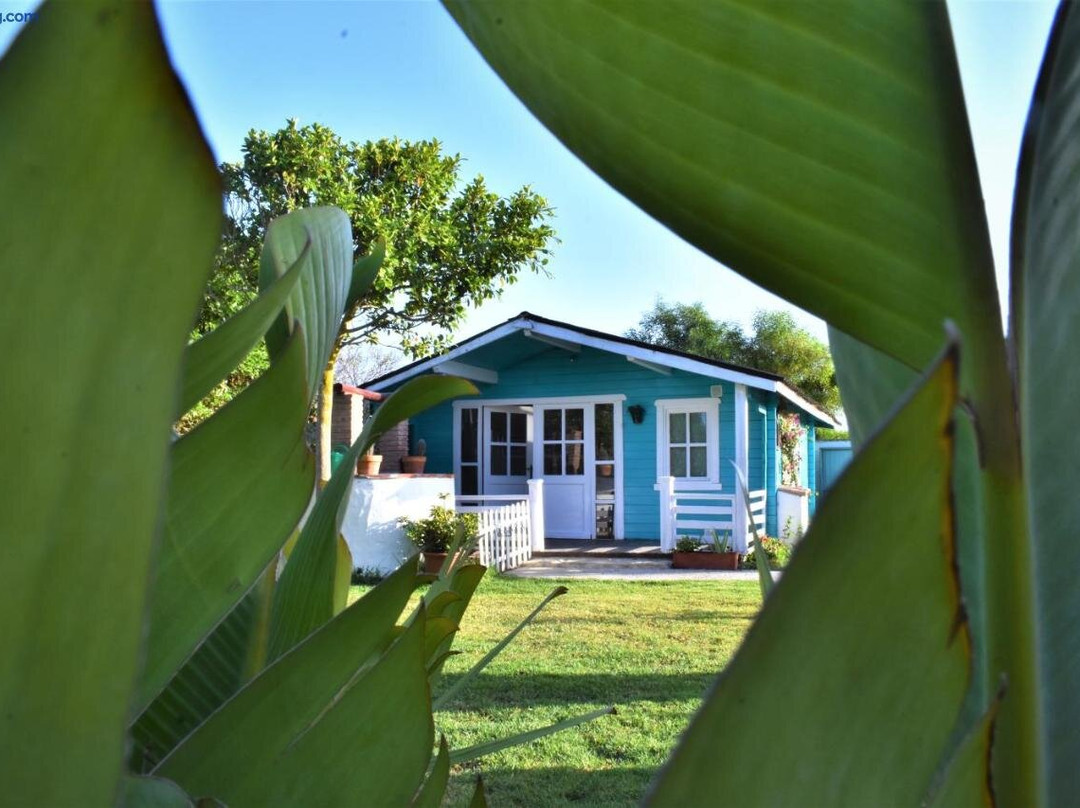 Kontiki Bungalows El Palmar