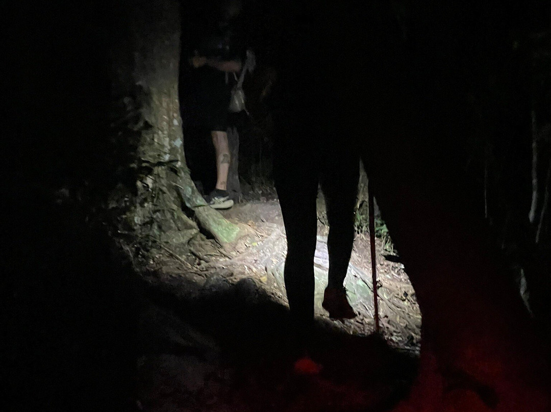 Pico do Papagaio-格兰德岛必去景点