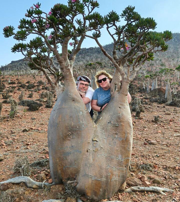 Wild Spirit Socotra-Hadiboh必去景点