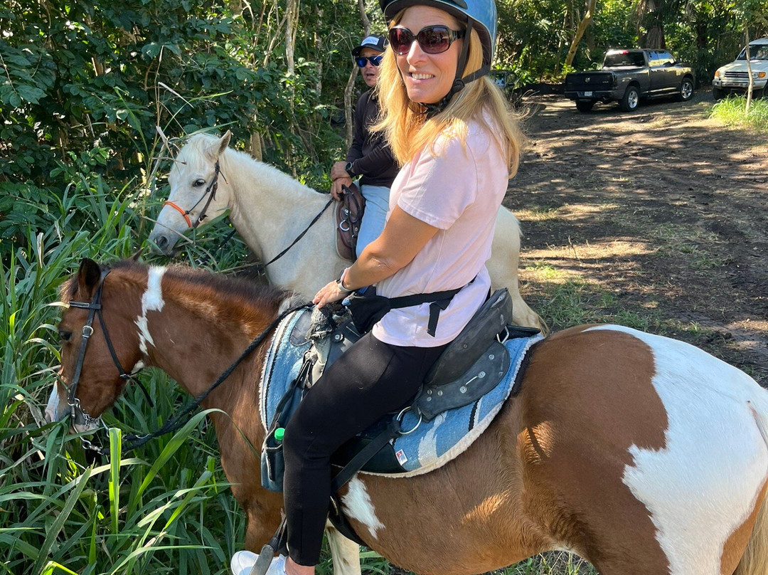 Horseback Rides by Pintos R Us-吕康必去景点