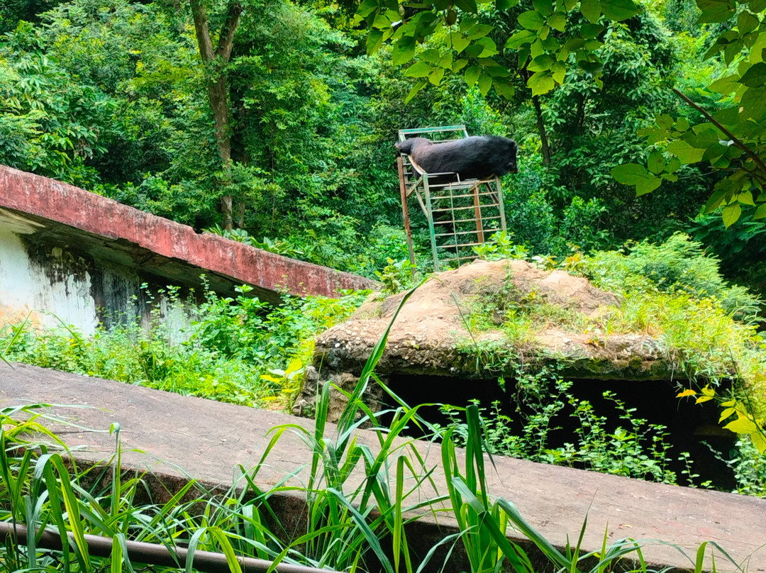 Assam State Zoo-古瓦哈提必去景点