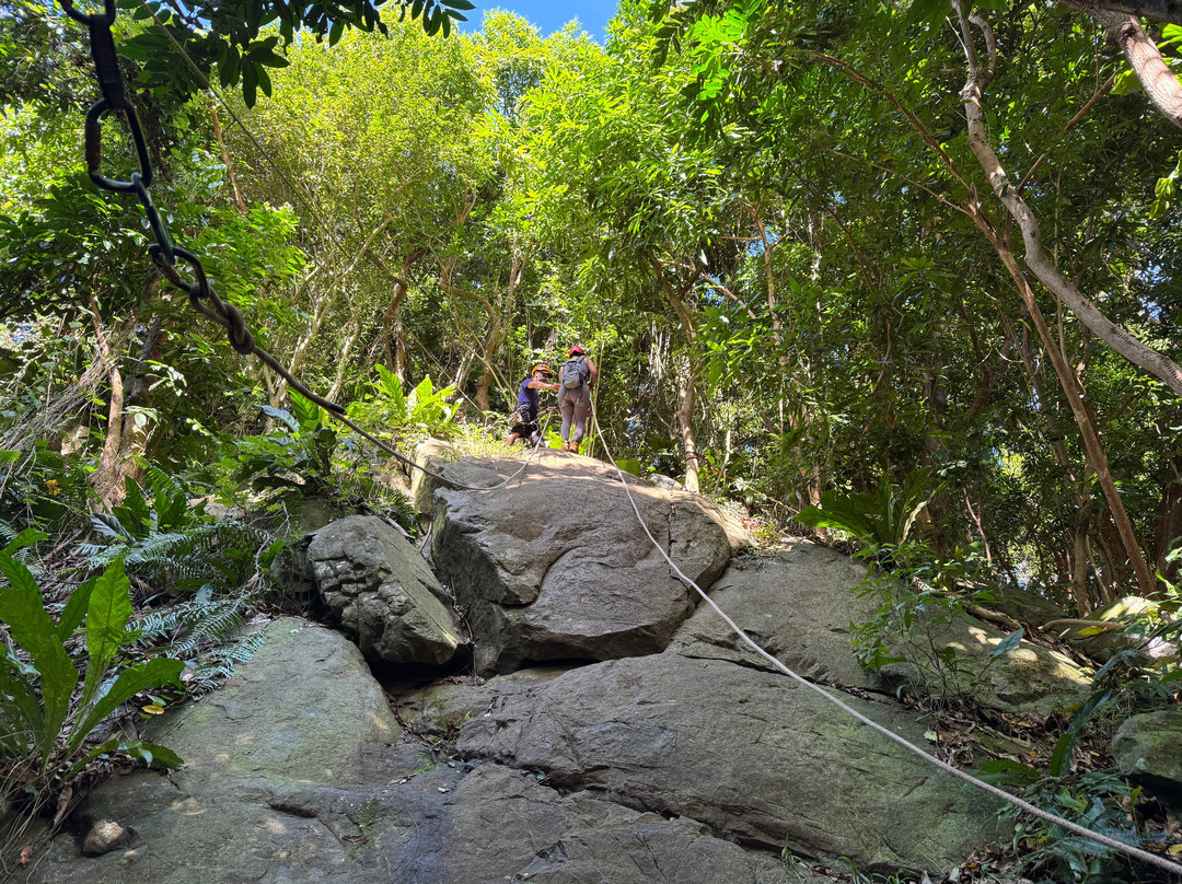 Yunque Ziplining-Luquillo必去景点