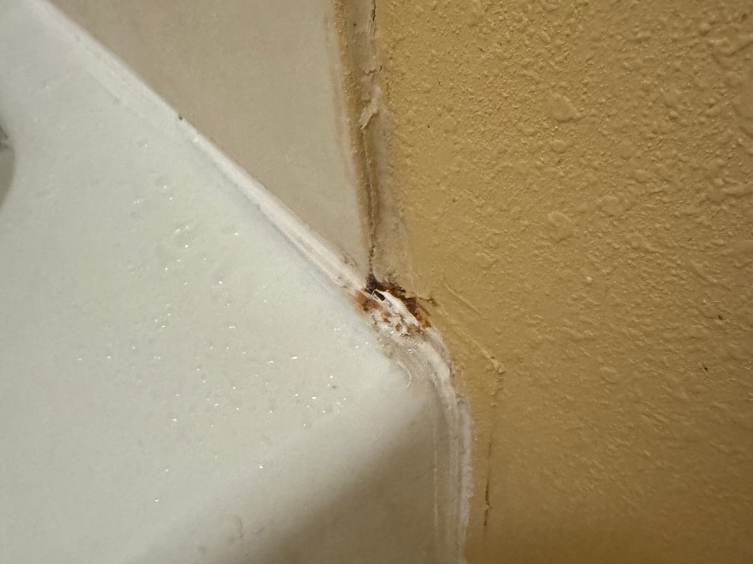 Super 8 by Wyndham O'Fallon主图