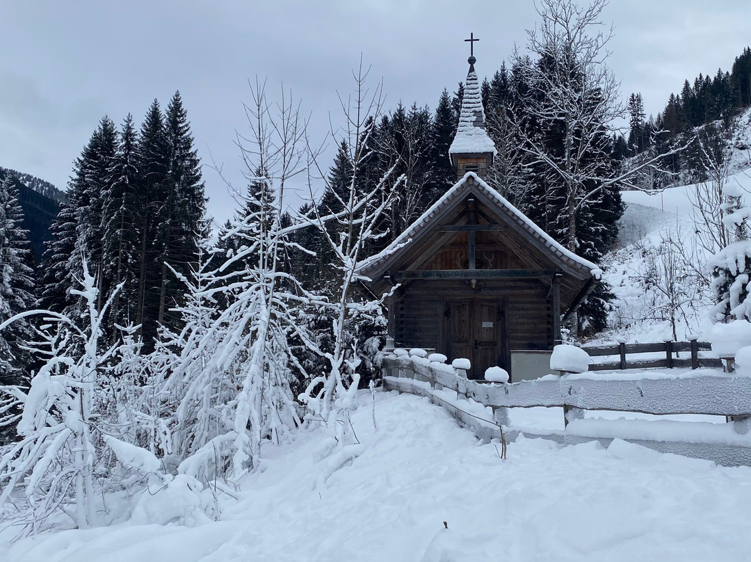 Wanderhotel Erika主图