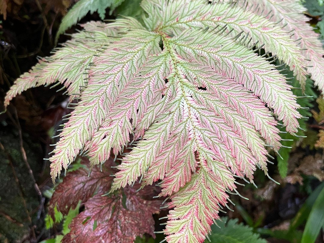 Esmeralda Ecotours San Rafael-San Rafael必去景点
