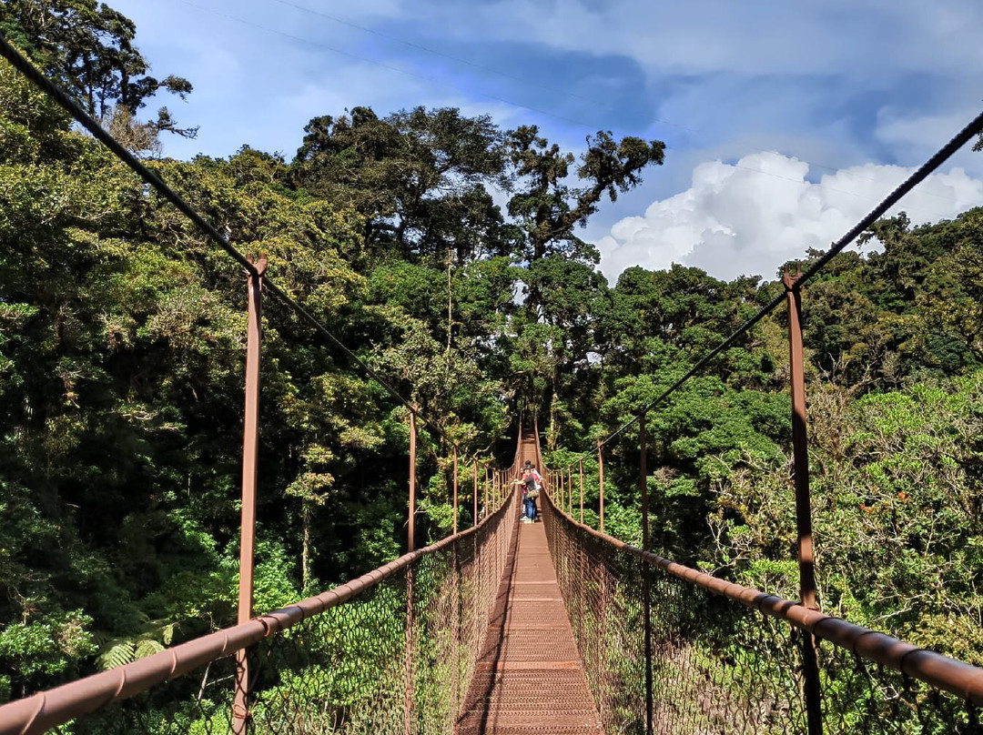 Tree Trek Boquete-波魁特必去景点