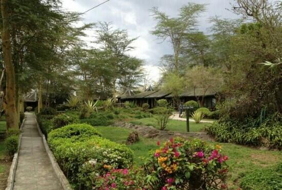 巴厘岛乌布四季度假村主图