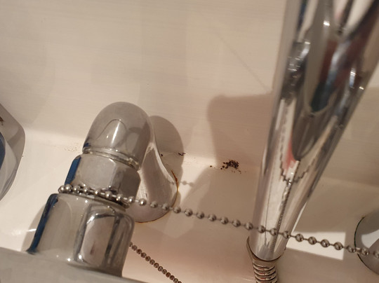 普瑞米尔格兰露斯酒店主图