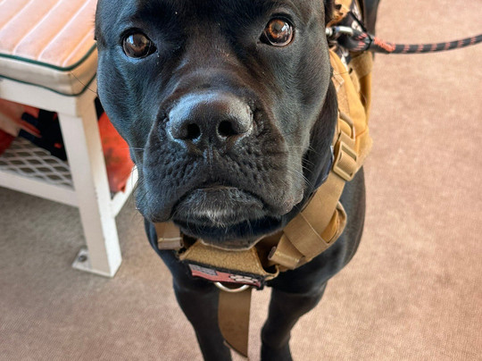 St. John's River Eco Tours, LLC-DeBary必去景点