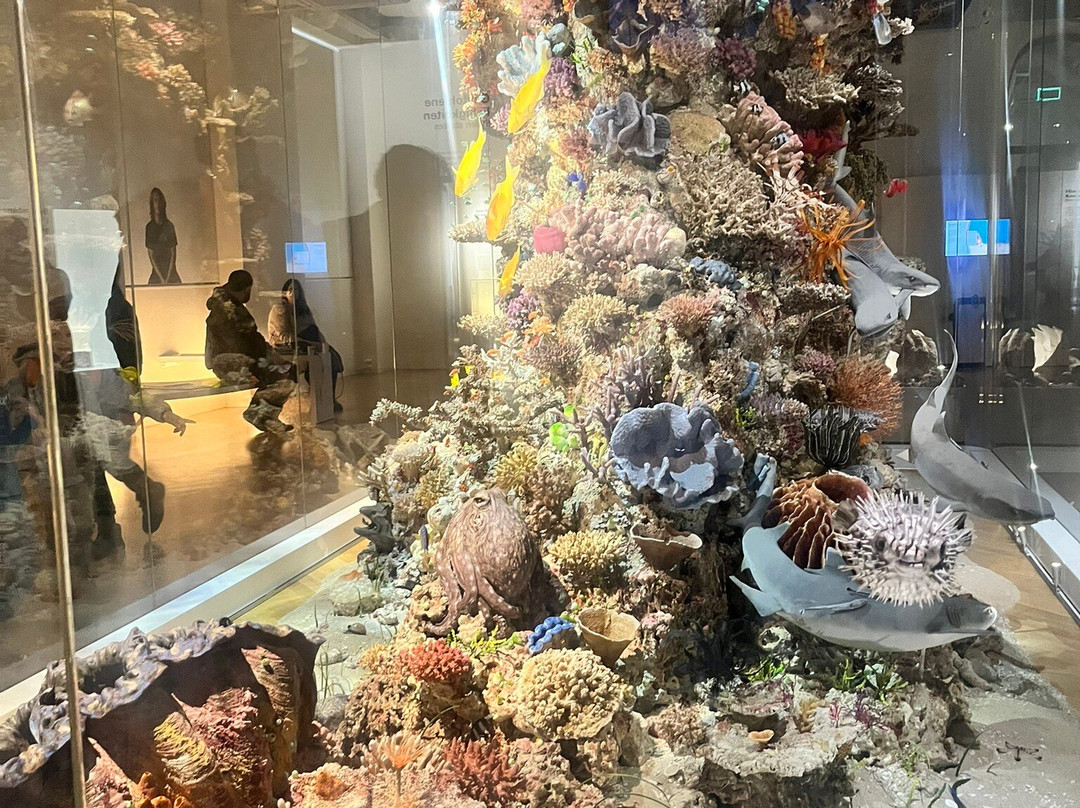 森肯伯格自然历史博物馆-法兰克福必去景点