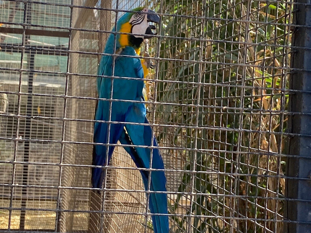 Monkey Park-洛斯克里斯蒂亚诺斯必去景点