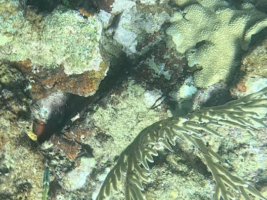 Katarina Sail Charters-吕康必去景点