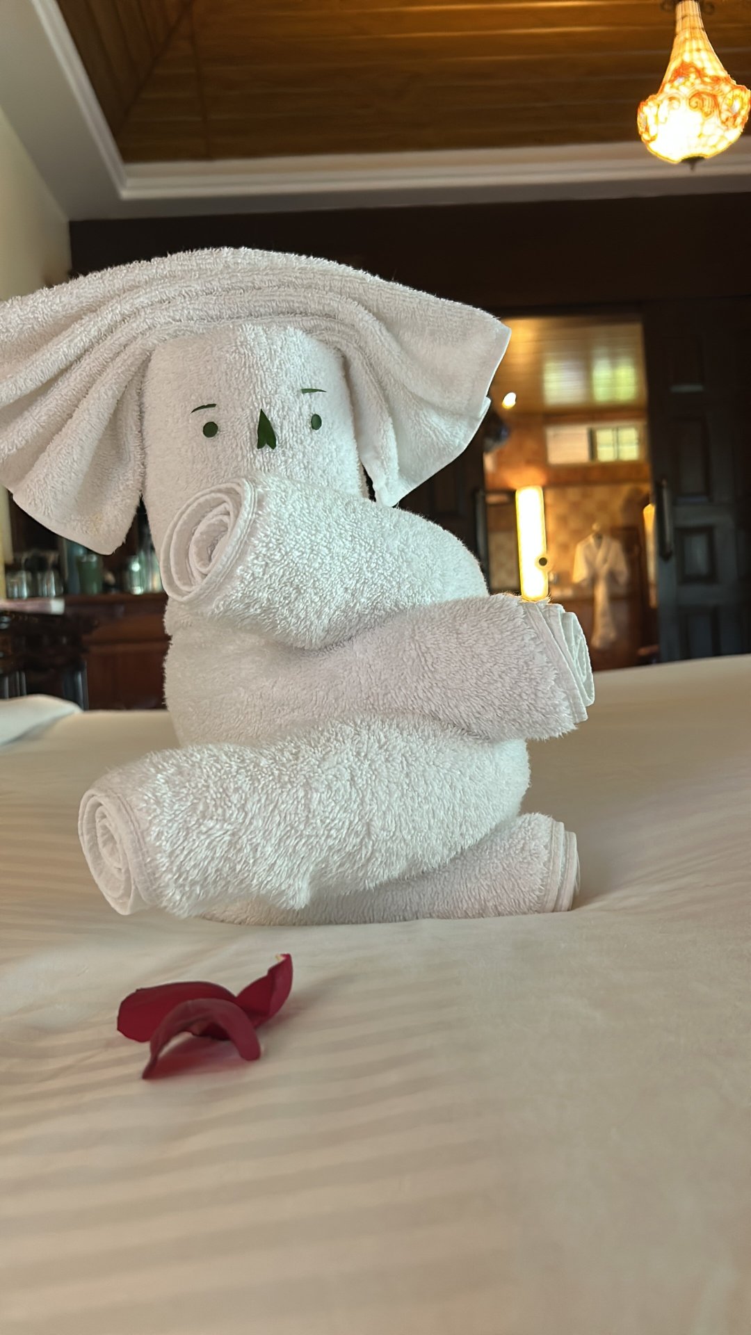 Coorg Wilderness Resort & Spa-客卧