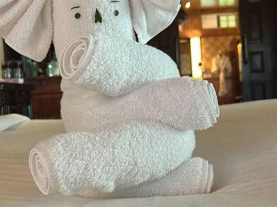 Coorg Wilderness Resort & Spa主图