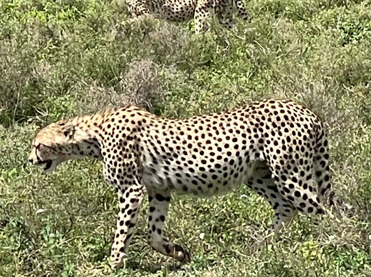 Wild Ways Adventure-阿鲁沙必去景点